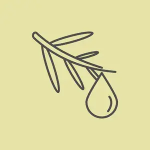 غصن زيتون وقطرة زيت