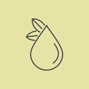 بذرة وقطرة زيت